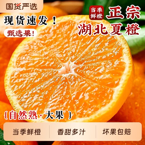 正宗伦晚脐橙秭归脐橙子9斤现摘新鲜甜橙子湖北宜昌三峡应季水果