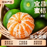 湖北宜昌无籽蜜桔净重5斤