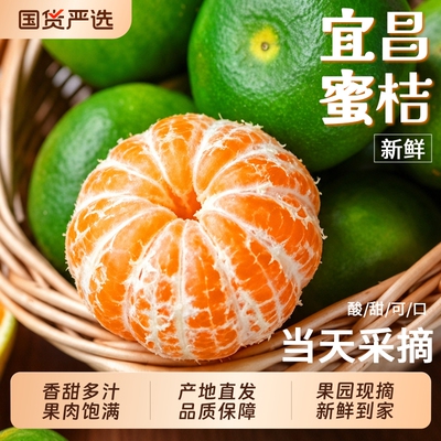 【宜昌蜜桔5斤特惠】香甜多汁