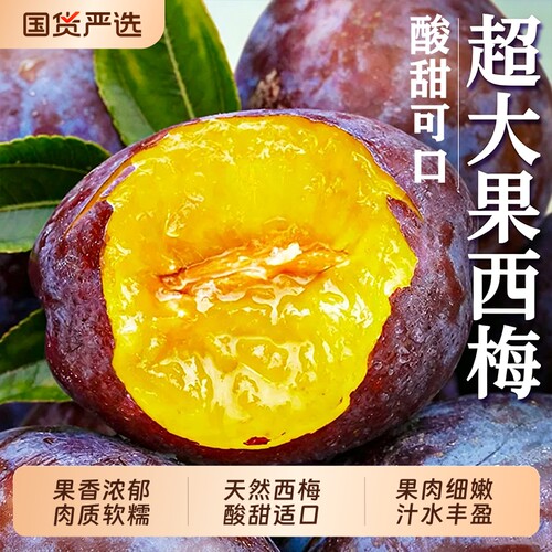 新鲜西梅5斤整箱|122人收藏