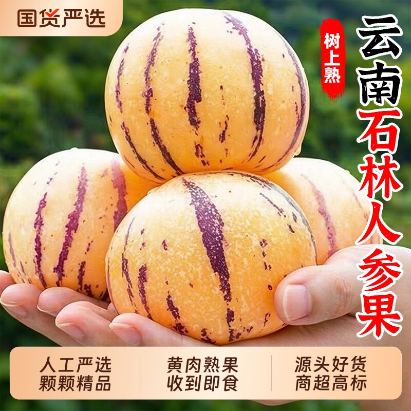云南石林人参果当季大果新鲜水果黄肉人叁果树上熟圆果整箱包邮