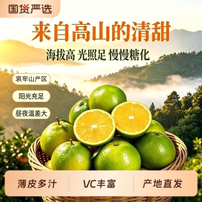 正宗云南哀牢山青皮冰糖橙高原种植新鲜水果薄皮应季榨汁水果