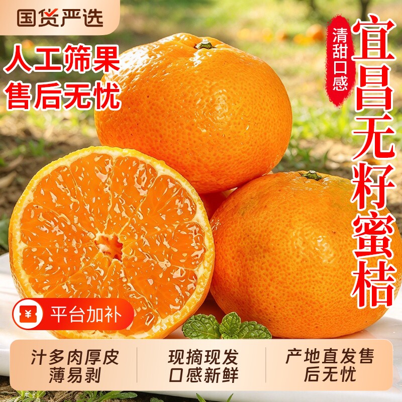 宜昌蜜橘桔子孕妇水果当季薄皮柑桔早熟无籽新鲜橘子10斤整箱柑橘