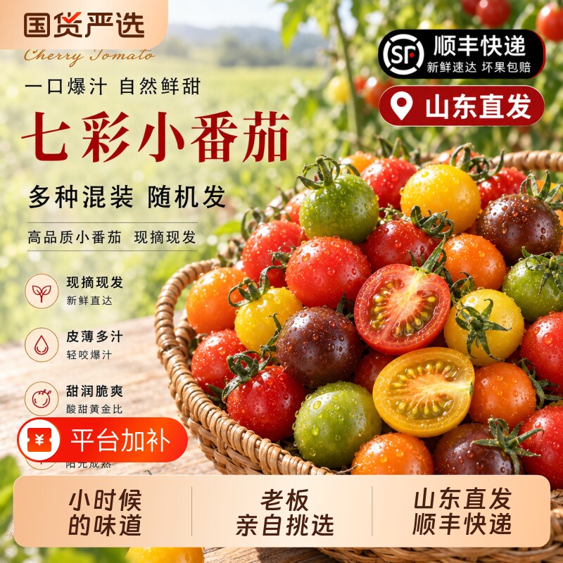 山东七彩彩色小番茄圣女果新鲜现摘现发小柿子水果顺丰包邮混装