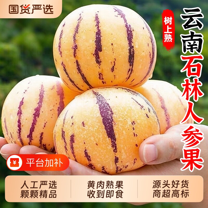 云南石林人参果当季大果新鲜水果黄肉人叁果树上熟圆果整箱包邮