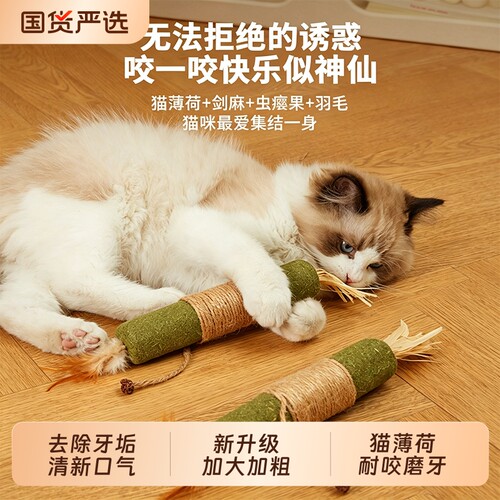 超大猫薄荷棒猫咪专用玩具耐咬