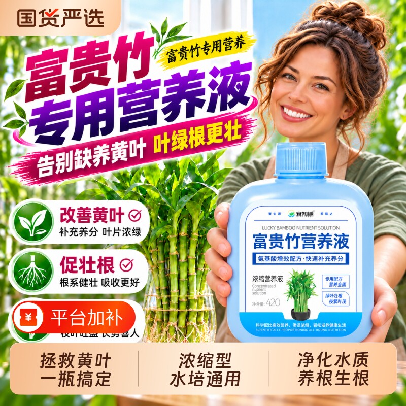富贵竹专用营养液生根土培水培水养治叶子发黄观音竹植物通用肥料