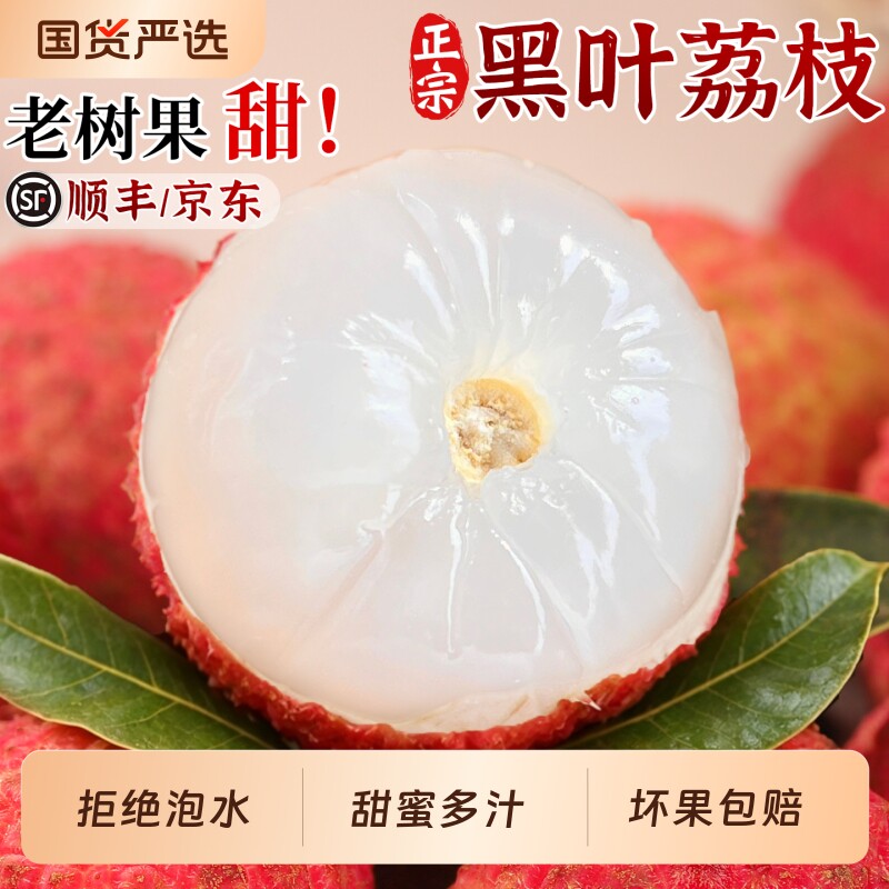 顺丰/京东 福建黑叶荔枝当季现摘老树大果新鲜水果整箱桂妃子味笑