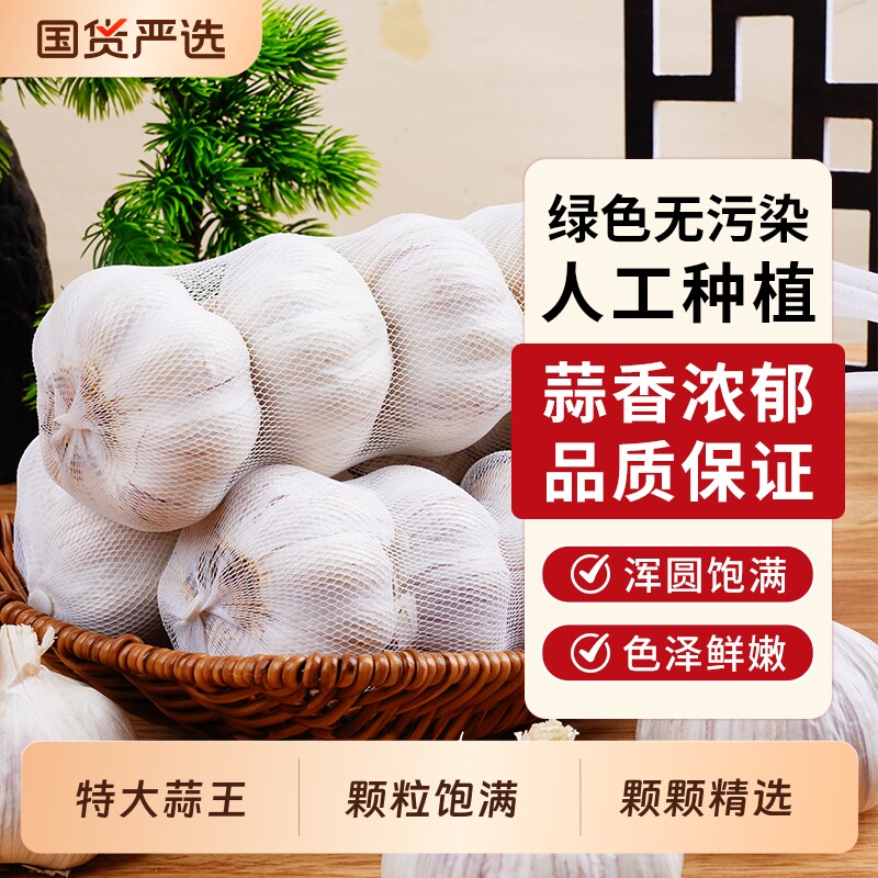 【网兜精选】山东紫皮大蒜头特级新干蒜批发价便宜特大干紫皮优质