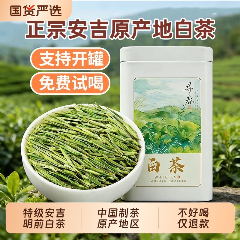 2026年正宗白茶安吉高山特级新茶礼盒装一级口粮绿茶雨前散装茶叶