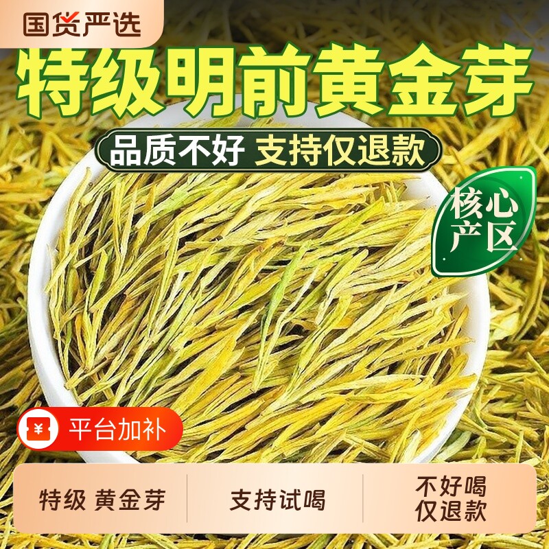 正宗黄金芽茶叶头采新茶口粮浓香型安吉茶树白茶绿茶明前礼盒罐装