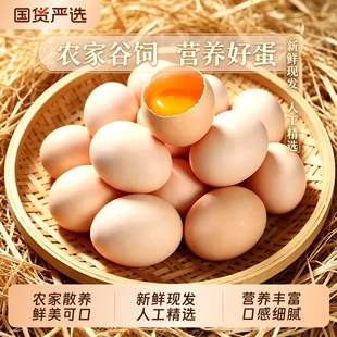 新鲜农家土鸡蛋【40-45g*30枚】