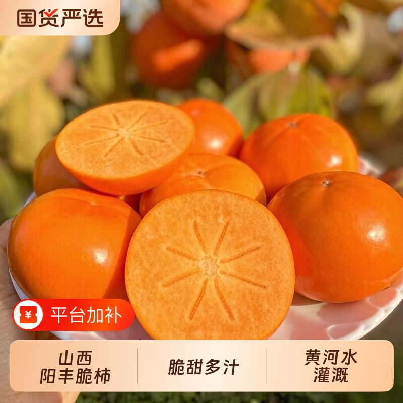 山西巧克力脆柿子新鲜水果当季正宗冰糖心甜柿无核火晶柿整箱包邮