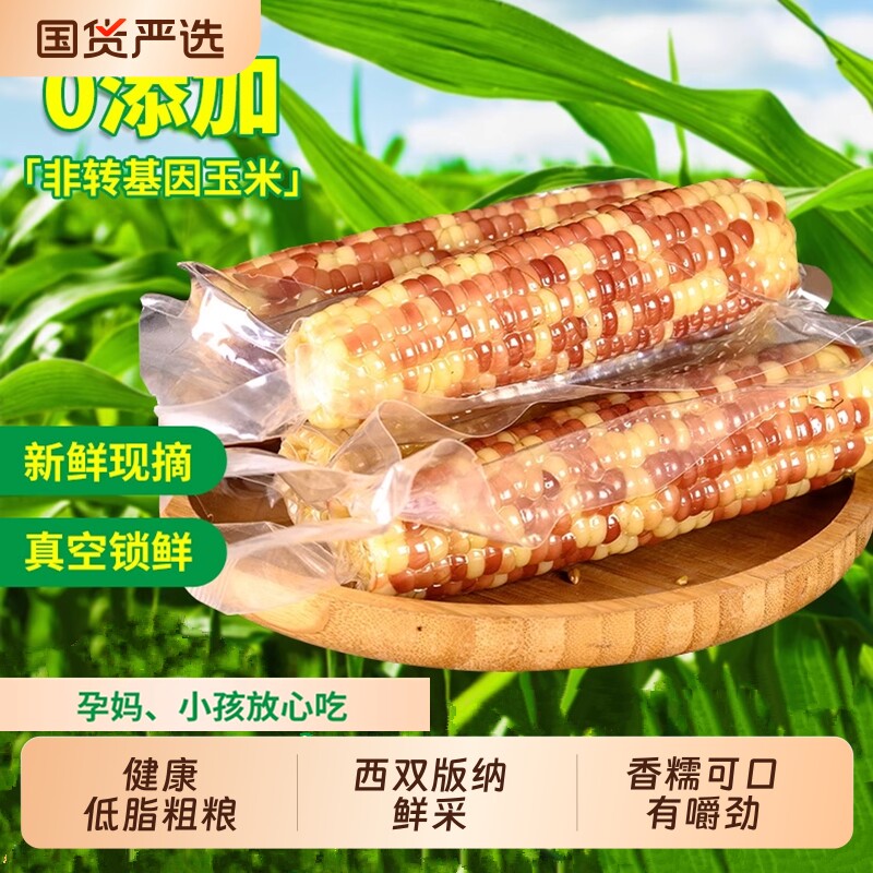 低脂云南西双版纳香糯小玉米粗粮早餐代餐玉米棒真空新鲜花糯包谷