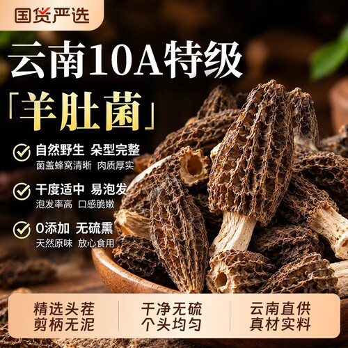 新鲜头茬菌菇羊肚菌干货云南煲汤炖鸡美食材浓郁包邮美味国货无硫