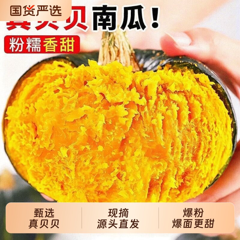 正宗贝贝南瓜板栗味小南瓜粉糯香甜5斤新鲜蔬菜当季产地西葫芦实拍图 商品