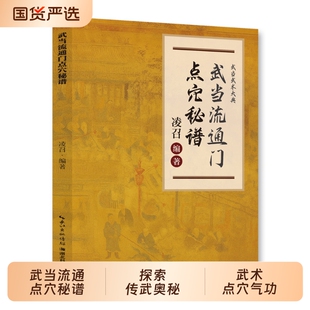 武当流通门点穴秘谱 速发 探索传武奥秘传承千年智慧寻经问穴击打精准医学点穴和武术点穴气N功实际应用书 正版