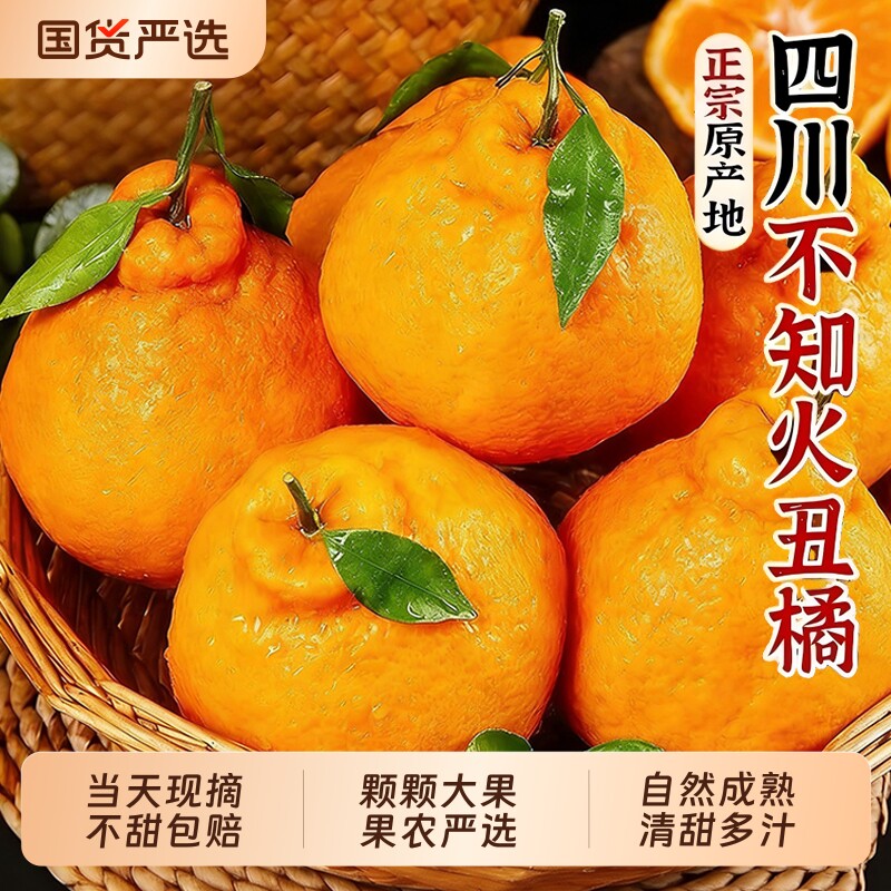 正宗四川不知火丑橘新鲜水果应当季现摘丑粑粑蜜桔柑橘子大果整箱