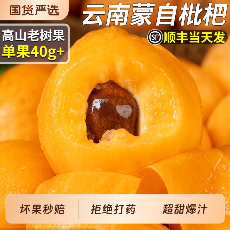 顺丰云南蒙自枇杷鲜果特大果礼盒