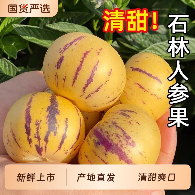 云南石林人参果新鲜人叁果圆果人生果娃娃果七彩黄肉水果整箱包邮