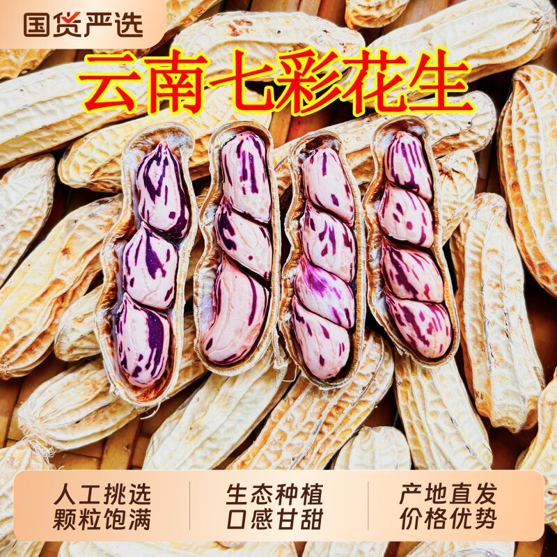 云鲜赞新货七彩花生水煮咸干五彩花生米云南带壳生熟新鲜零食炒货