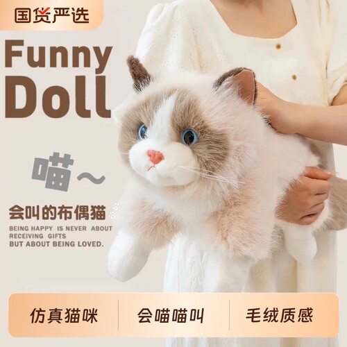 毛绒仿真布偶猫娃娃小猫咪玩偶