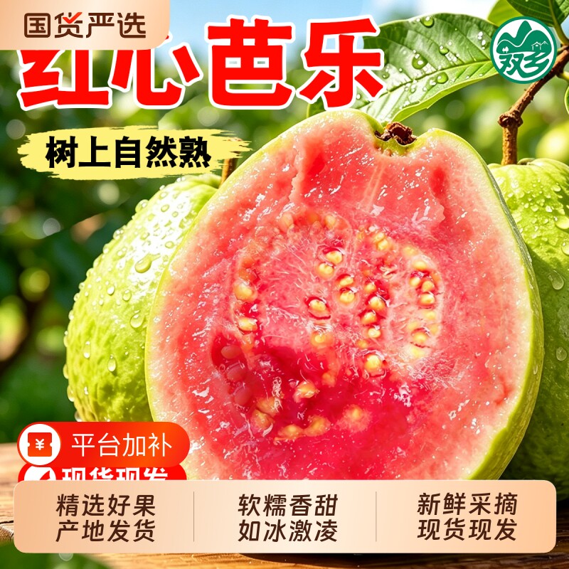 广西红心芭乐软糯番石榴5斤新鲜水果当季整箱低糖脆甜