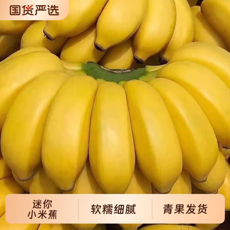 [福利]正宗广西小米蕉迷你香蕉新鲜当季水果自然成熟孕妇宝宝辅食