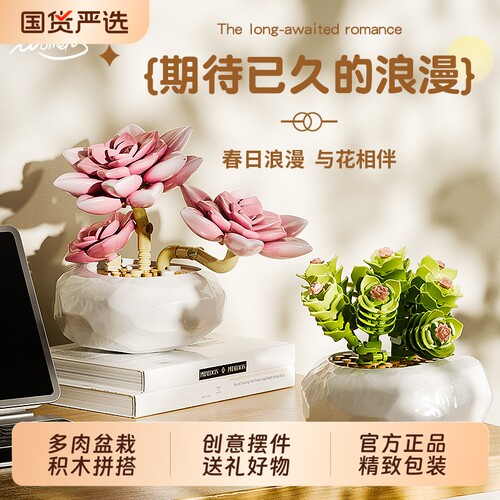 inbrixx植物系列拼搭多肉盆栽