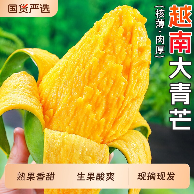 正宗越南大青芒新鲜水果当季时令芒果青皮芒整箱批发带箱特大现摘
