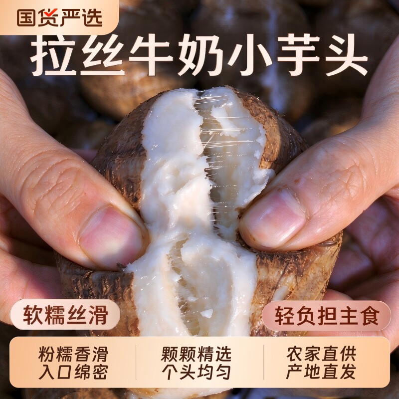 正宗山东牛奶小芋头新鲜现挖整箱
