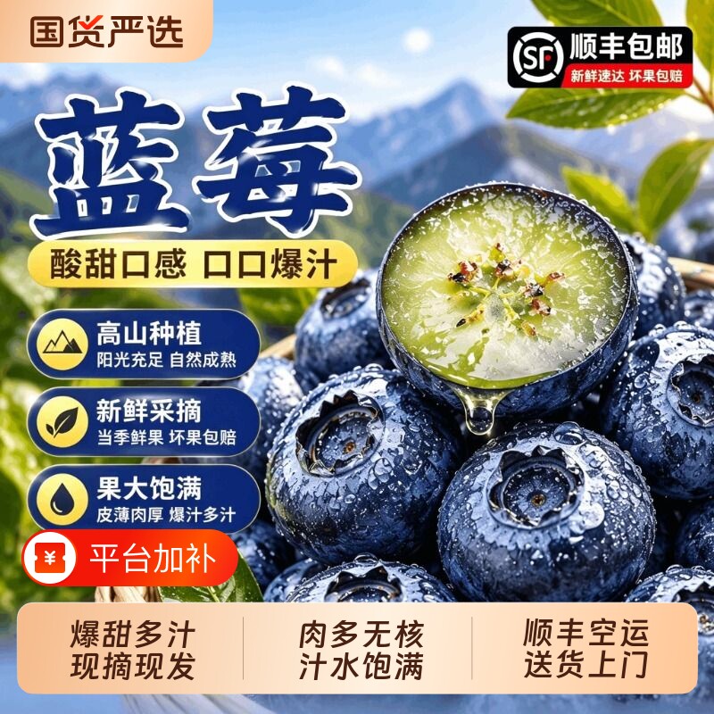 正宗蓝莓新鲜水果22mm+特大果花香当季高山鲜果现摘顺丰包邮进口