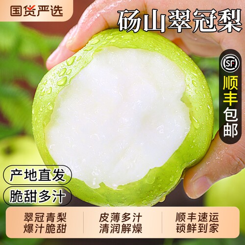 砀山翠冠梨当季梨子新鲜水果包邮