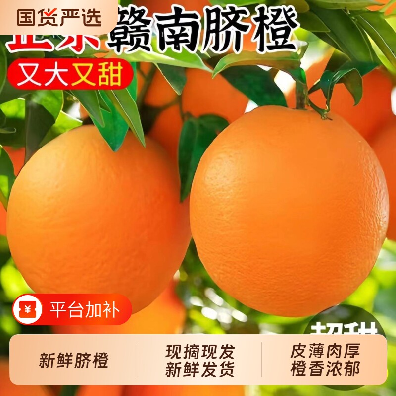 江西脐橙正宗赣南脐橙子新鲜水果赣州脐橙产地直发现摘手剥橙商用