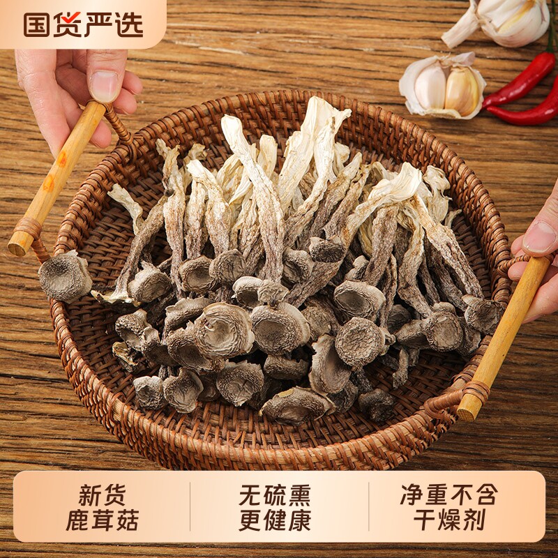精选鹿茸菌干货鹿茸菇福建菌子脆脆菇干鹿茸菇煲汤500g新鲜 - 实物图