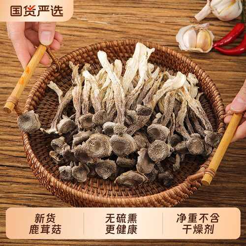 精选鹿茸菌干货鹿茸菇福建菌子脆脆菇干鹿茸菇煲汤500g新鲜