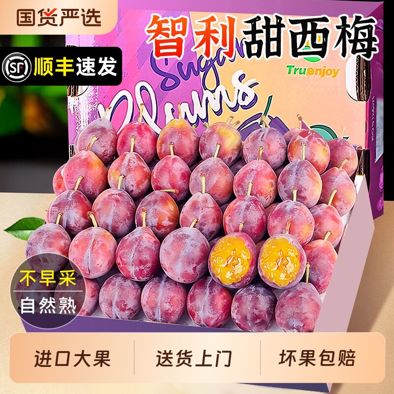 智利西梅新鲜5斤礼盒鲜果脆甜李子进口水果应当季整箱水果旗舰店