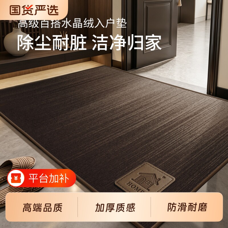 入户门地垫新款大门口进门玄关家用门垫室内简约脚垫玄关除尘地毯