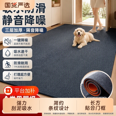 家用单条纹入户地垫防滑耐磨