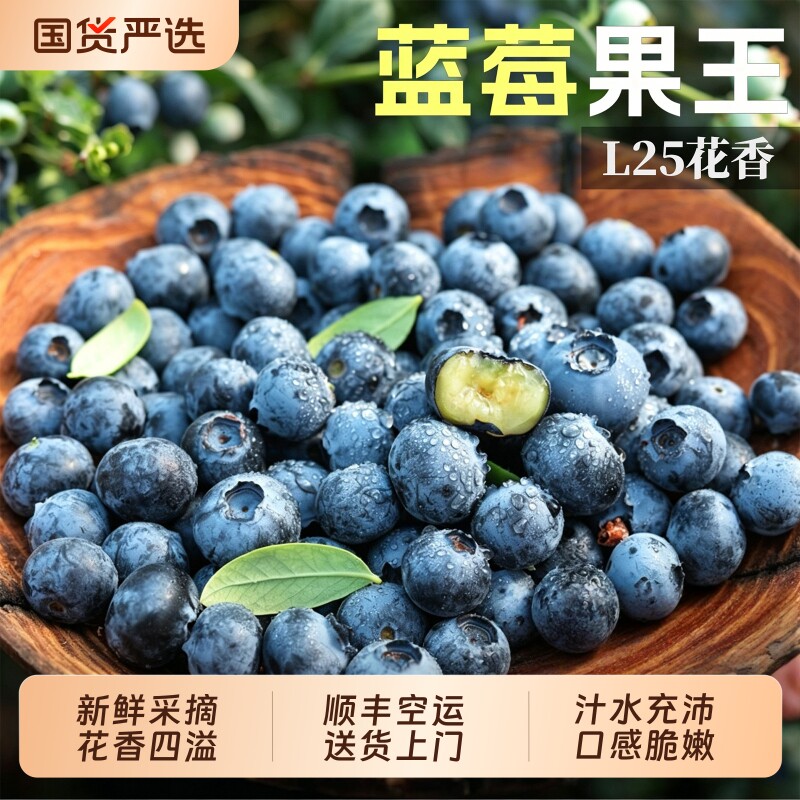 蓝莓新鲜水果顺丰当季鲜果现摘L25花香高山孕妇特大果树包邮一颗