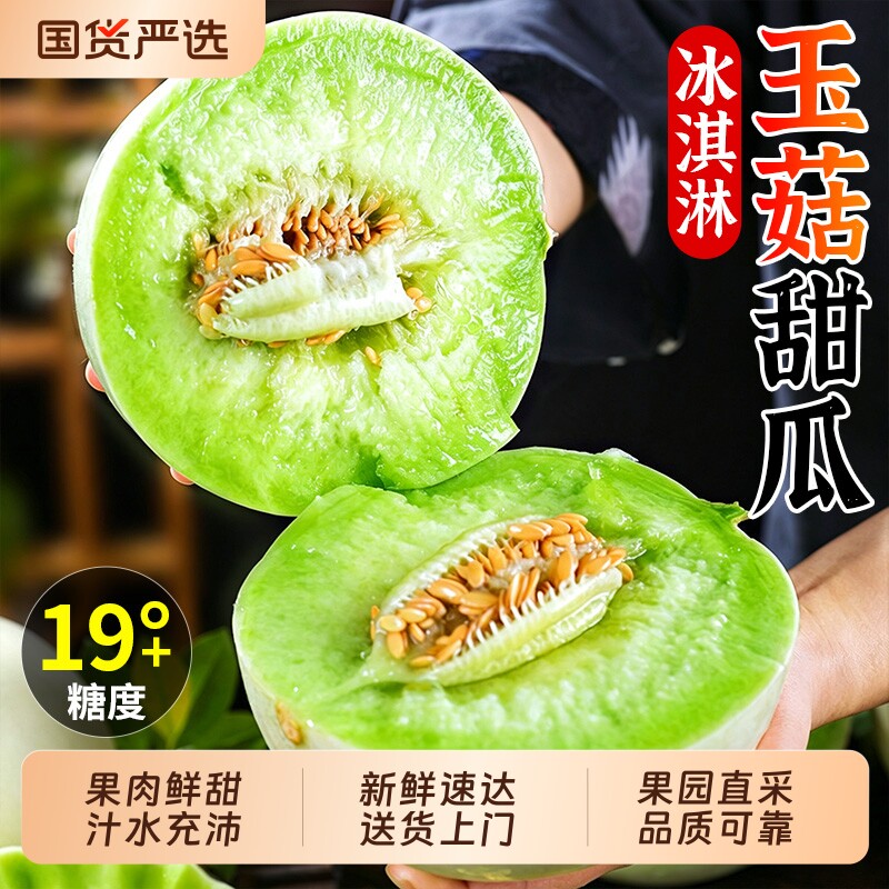 正宗玉菇冰淇淋甜瓜新鲜水果当季小香瓜蜜瓜整箱包邮现摘翡翠次日