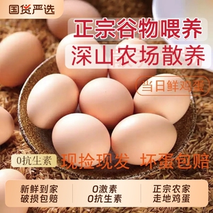 农家散养新鲜土鸡蛋【40g*30枚】
