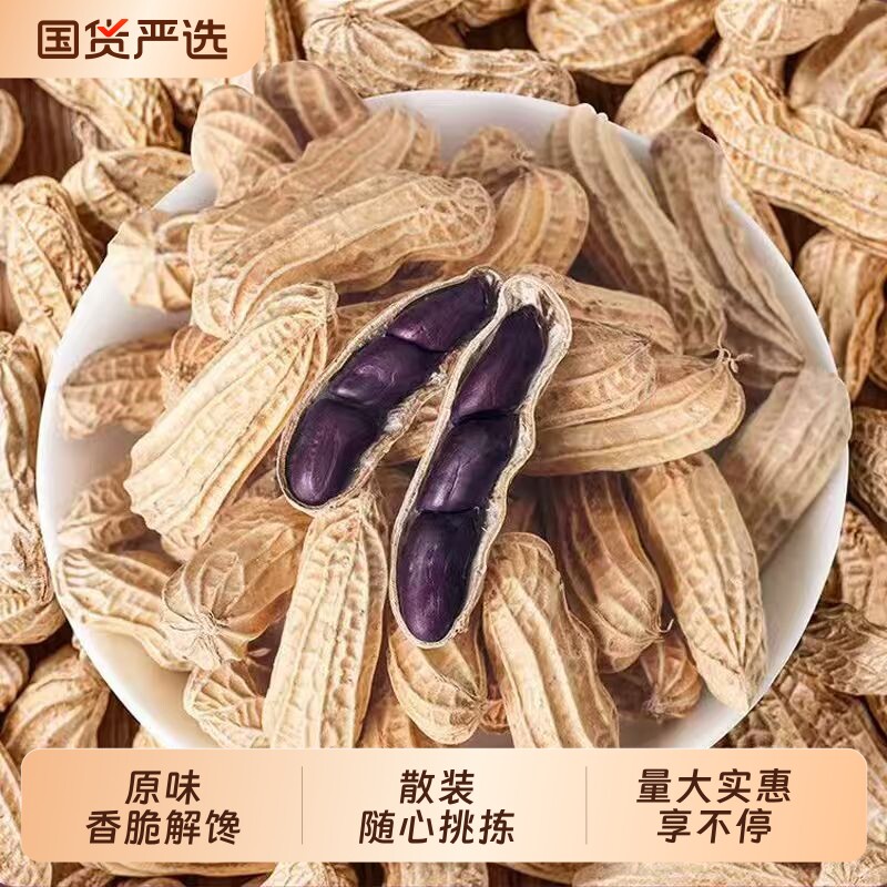 黑花生带壳紫花生新货下酒菜营养健康零食晒干原味特产特色解馋