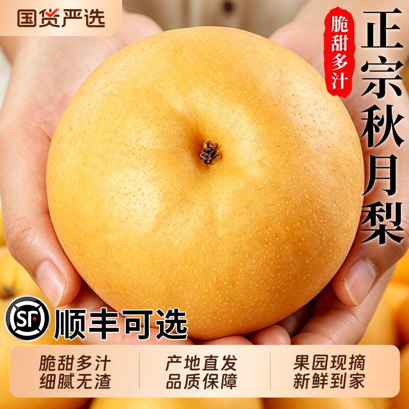 正宗山东秋月梨新鲜水果梨子当季整箱莱阳香蜜梨冰糖雪梨正品包邮