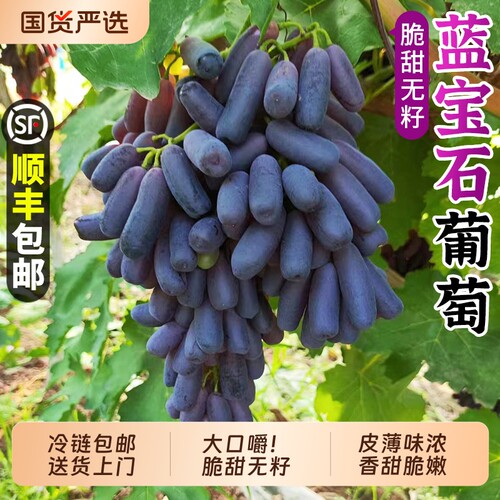 蓝宝石葡萄｜力荐，甜蜜无籽！