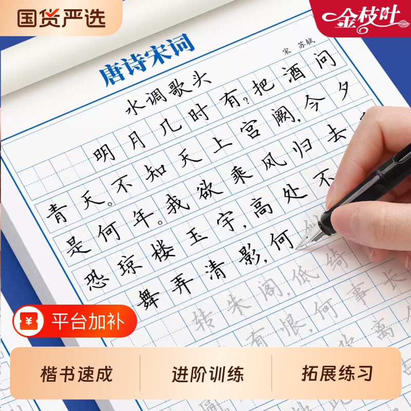 正楷字帖成人练字楷书练字硬笔手写体汉字描红控笔训练偏旁部首笔画笔顺速成练字钢笔专用练字帖高中生入门书法练字本大学生初中生