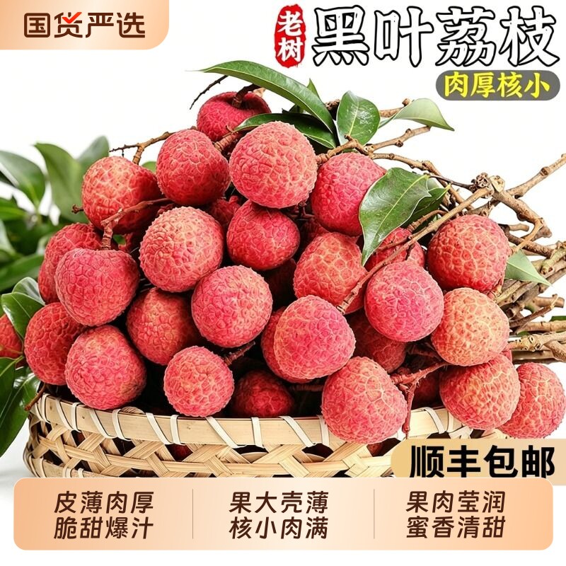顺丰礼盒福建黑叶荔枝新鲜现摘现发老树果水果当季整箱包邮甜应季