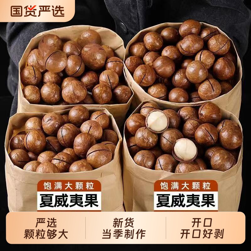 夏威夷果新货坚果罐装大颗粒零食厂家直销吃货解馋奶油味无添加