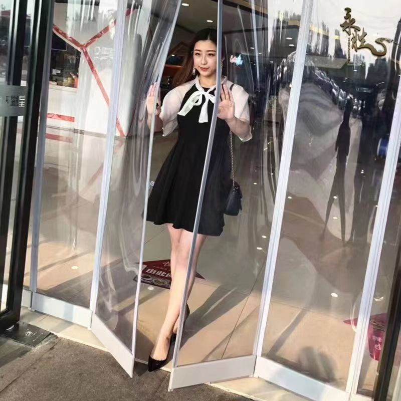 门帘子四季通用空调帘商用超市门口挡风塑料透明软门帘磁吸隔断帘