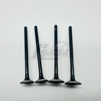 配套林海LH175领程175 FORCE155 SMAX155进排气门4V组合一套4支